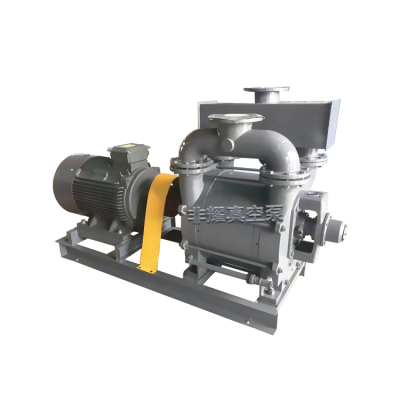 2BE1水環(huán)真空泵